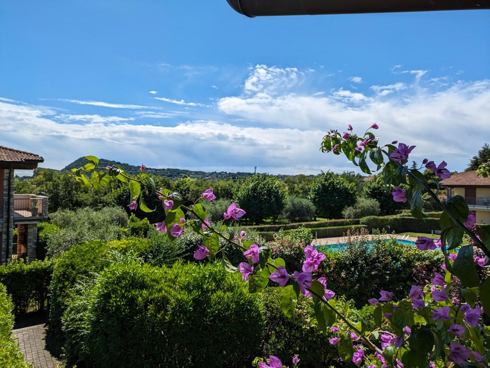 La Fenice Holiday Apartment Manerba del Garda Eksteriør bilde
