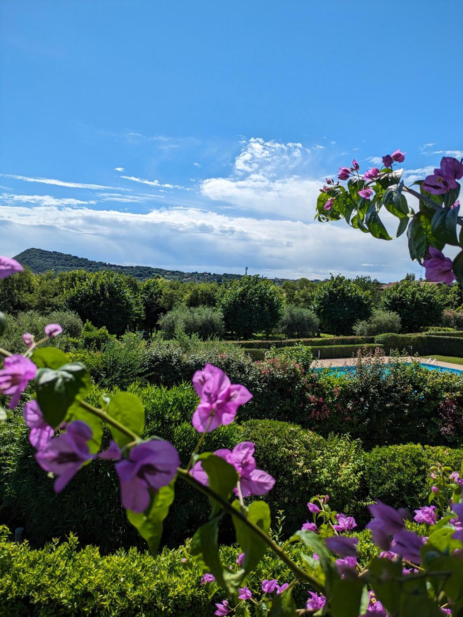 La Fenice Holiday Apartment Manerba del Garda Eksteriør bilde
